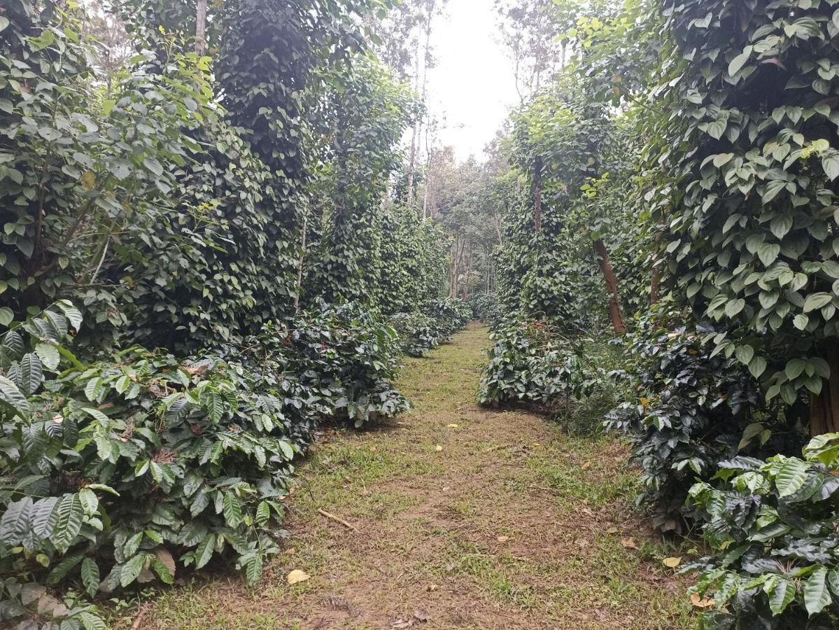 Coffee Country Homestay Chikmagalūr 外观 照片