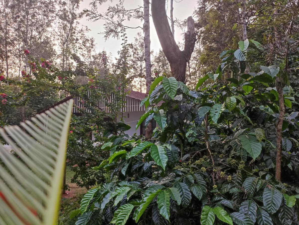 Coffee Country Homestay Chikmagalūr 外观 照片
