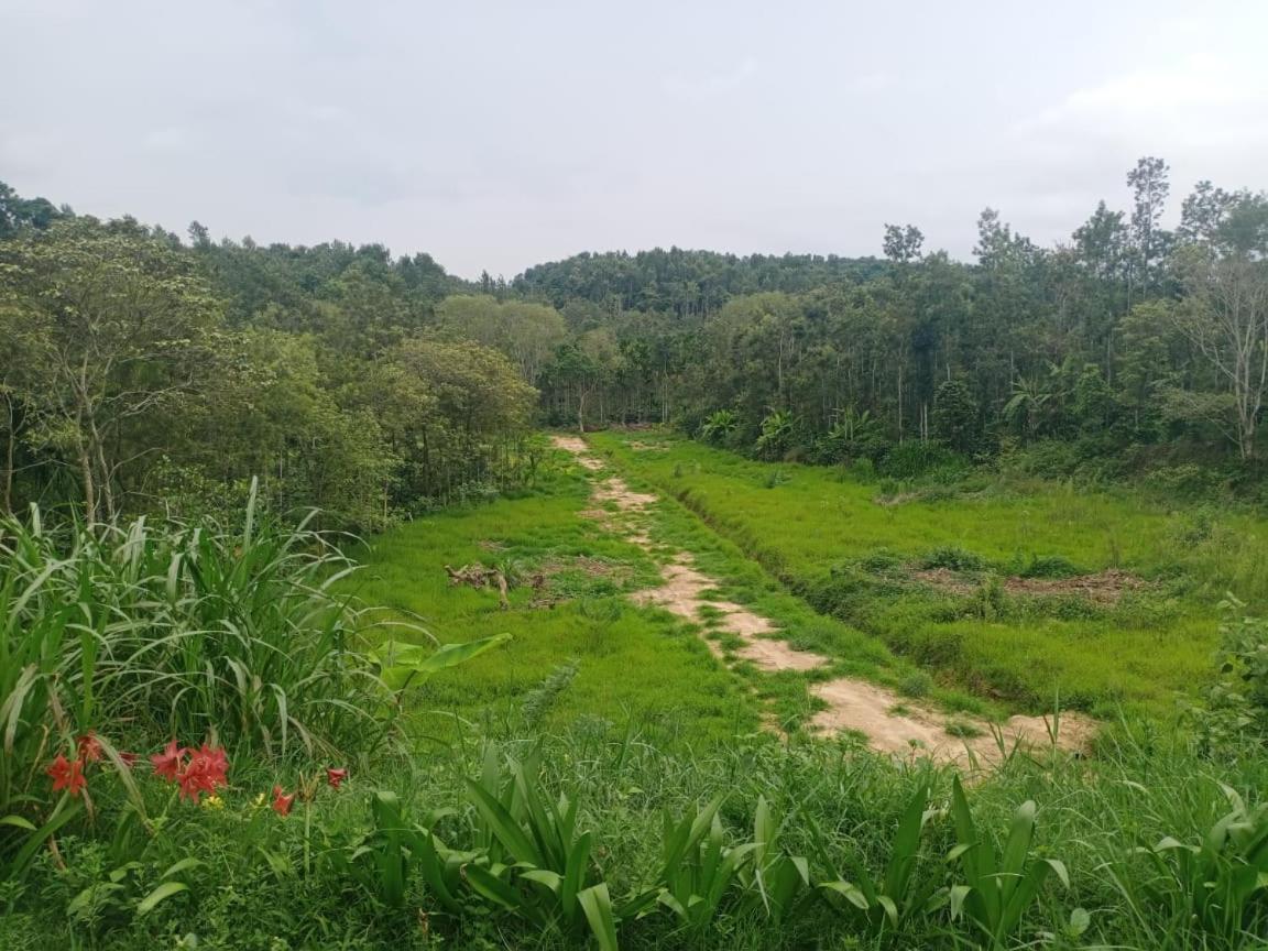 Coffee Country Homestay Chikmagalūr 外观 照片