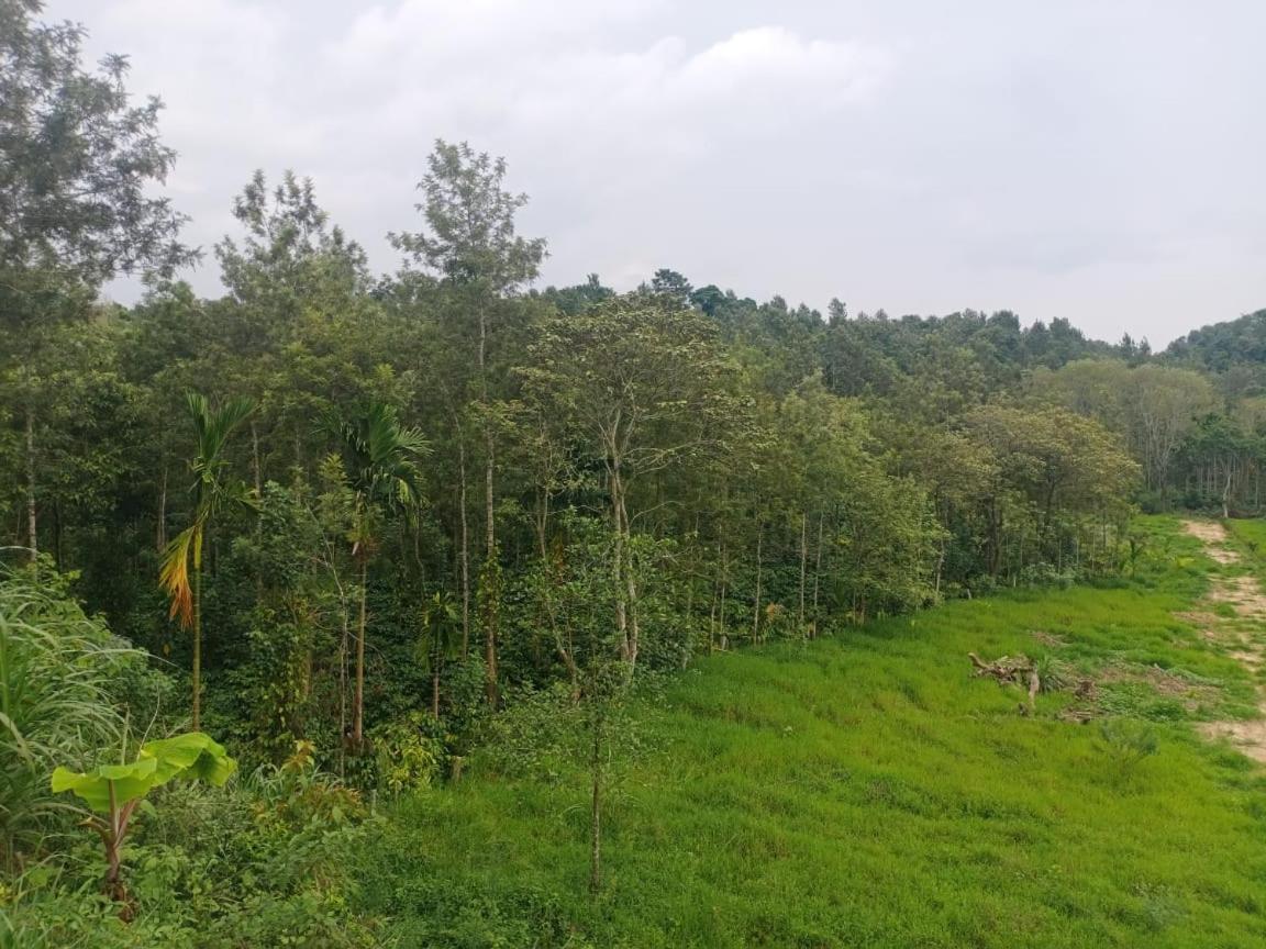 Coffee Country Homestay Chikmagalūr 外观 照片