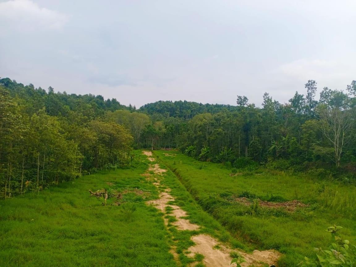 Coffee Country Homestay Chikmagalūr 外观 照片