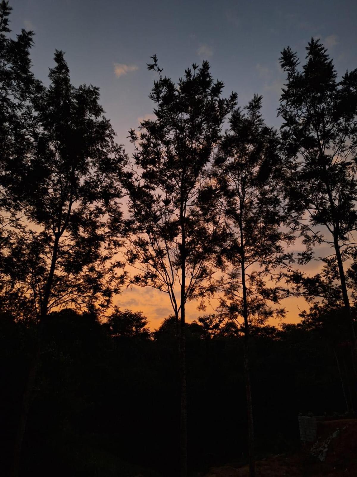 Coffee Country Homestay Chikmagalūr 外观 照片