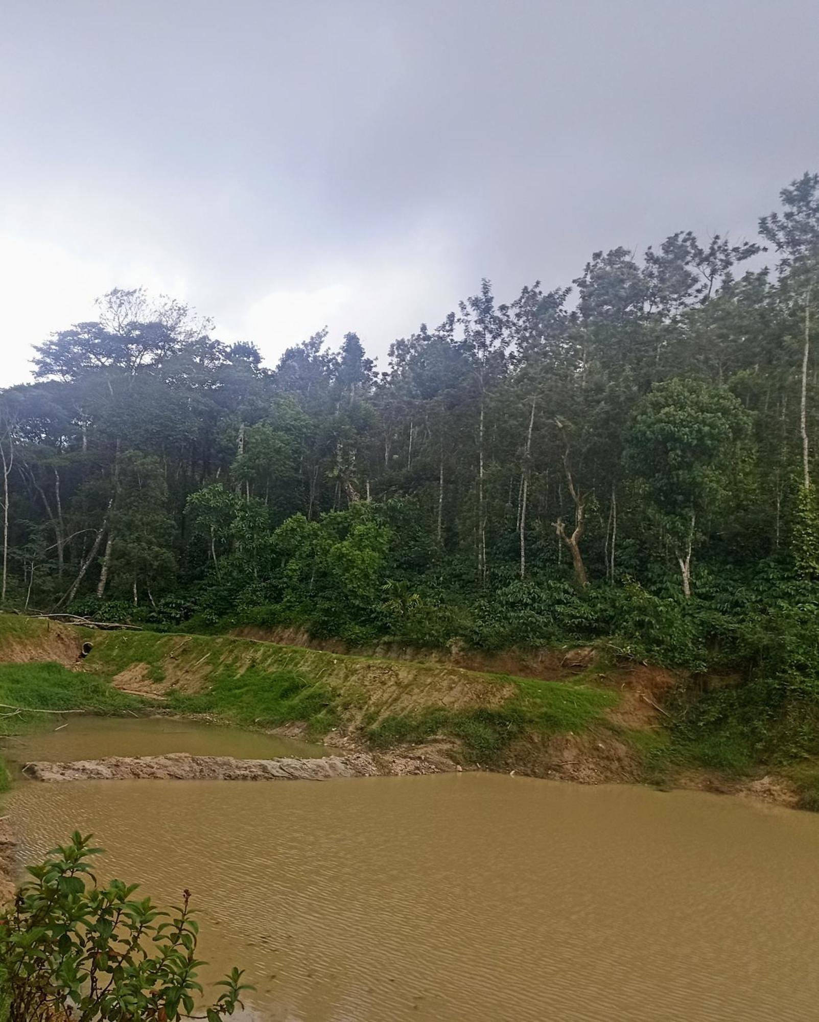 Coffee Country Homestay Chikmagalūr 外观 照片